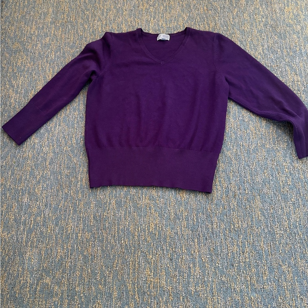 JM Collection Women's Purple V-Neck Sweater Top